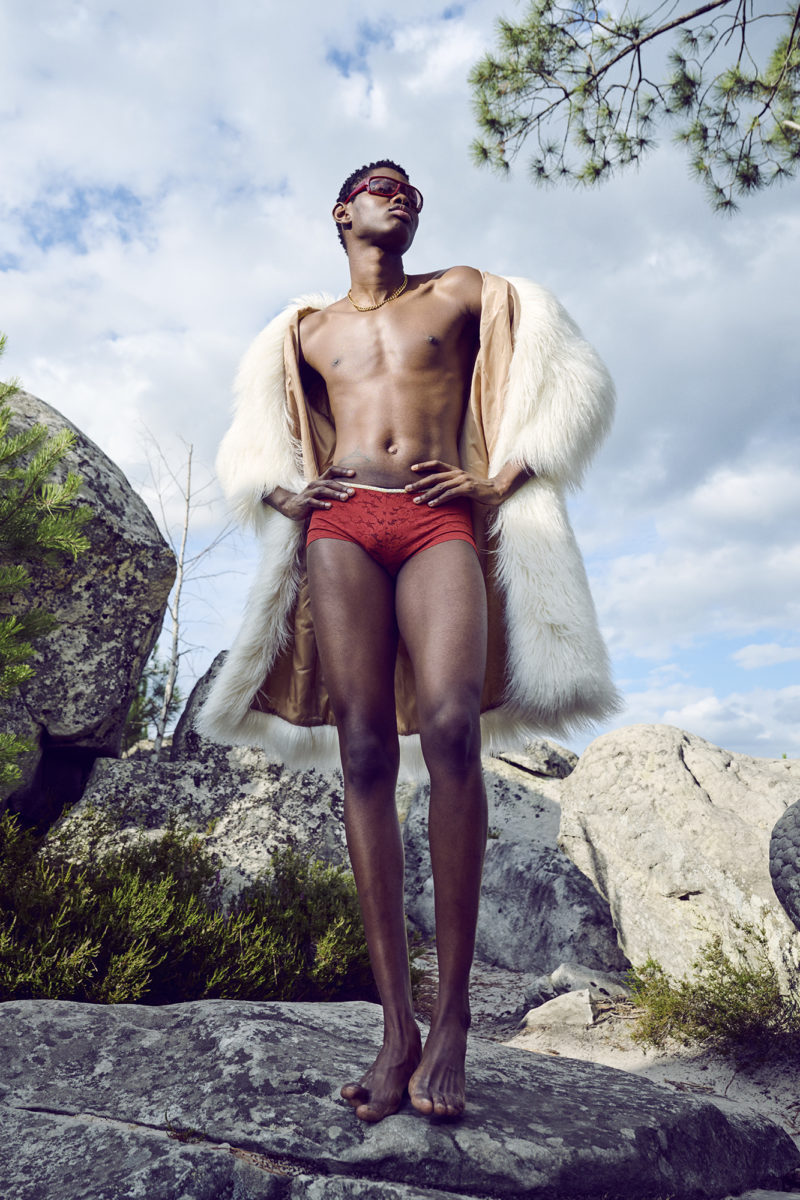 Fashion in nature by Stefan Rappo