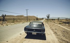 Thumbnail Ford Mustang parked in the desert by Stefan Rappo
